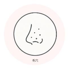 毛穴