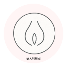 婦人科形成
